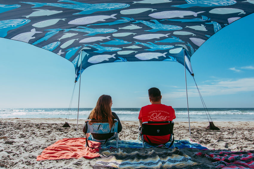 Neso Gigante - Prints