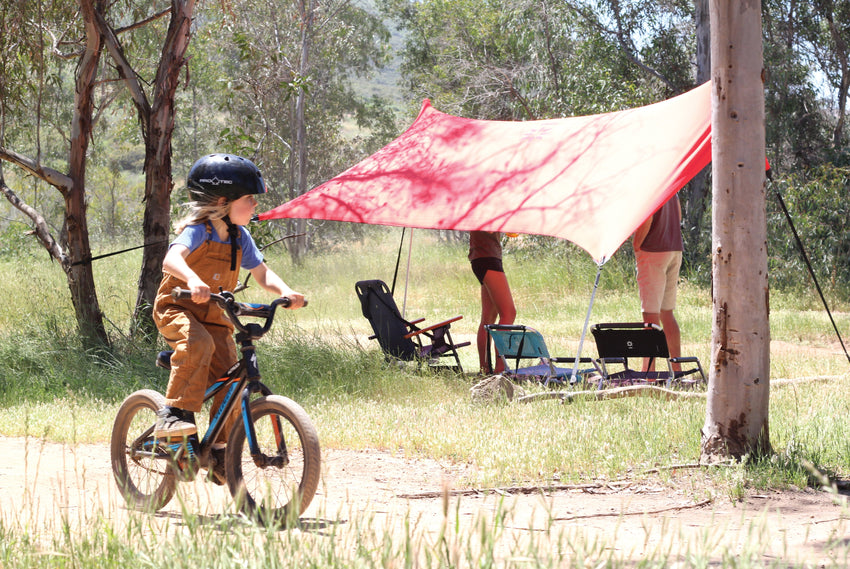 Sidelines Grande - Prints